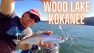 How to Kokanee Fishing Downrigger and Controlled Depth Trolling Wood Lake BC [upl. by Doug753]