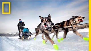 See How Dog Sledding Helped This Photographer Get Her Spark Back  Short Film Showcase [upl. by Nattie374]