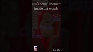 Babys Moments inside the womb 3D Animation shorts fetalmovement short [upl. by Ettenal]