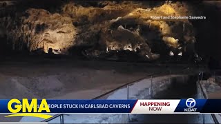 Stunning Carlsbad Caverns National park New Mexico shorts [upl. by Herring]