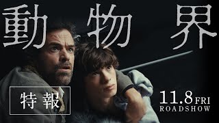 映画『動物界』特報｜11月8日金公開 [upl. by Neumeyer]