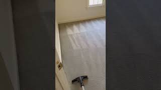 I Tried The Most Satisfying Carpet Cleaning Techniques [upl. by Ilrahs785]