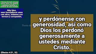 BENEFICIOS DEL PERDÓN SEGÚN LA BIBLIA [upl. by Attiuqaj]