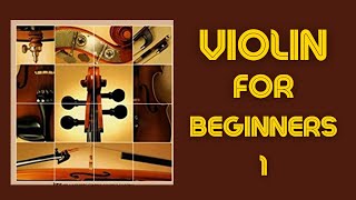 Violin for Beginners Lesson 1  names on the strings on the violin for new starter violinist [upl. by Ora793]