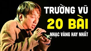 Trường Vũ Và 20 Bài Nhạc Vàng Chọn Lọc Hay Nhất Sự Nghiệp  Trường Vũ Nhạc Hải Ngoại Chọn Lọc [upl. by Burbank980]