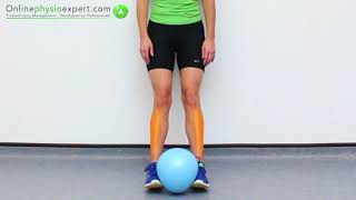 Tibialis Anterior Muscle Strengthening Exercise Tutorial Level 3  ONLINE PHYSIO EXERCISES [upl. by Delaney829]