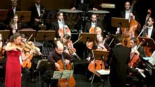 Beethoven Triple Concerto CMajor Opus 56 [upl. by Iatnahs]