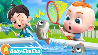 12345 Once I Caught a Fish Alive  Learn Numbers Song  Baby ChaCha Nursery Rhymes amp Kids Songs [upl. by Blount406]