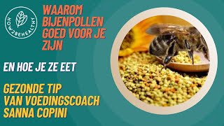 Waarom en hoe bijenpollen  stuifmeelkorrels gebruiken ze zijn heel gezond  helpen bij hooikoorts [upl. by Llerehc]