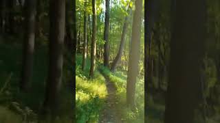 Trail Running Along the Ridge at Sunset 💨 [upl. by Eirased]