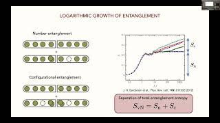 OpenQMBP2024 Leonard Manybody delocalization in an optical lattice [upl. by Icram505]