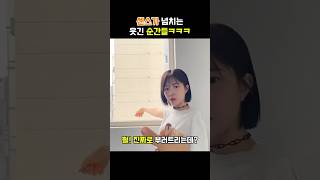 유머 재밌는동영상 웃긴영상 funny 웃긴짤센스가 넘치는 웃긴 순간들ㅋㅋㅋ [upl. by Yesrej]