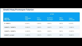 Emekli Maaş Promosyon Ne Kadar Oldu 2024 En Çok Veren Banka Hangisi Kaç Lira Veriyor Özel mi Devlet [upl. by Yellah972]