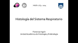 Sistema Respiratorio [upl. by Novonod]