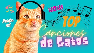 TOP Canciones de Gatos Gatito Fiu fiu Dame Jamon Sin gorros Parodias Pte  2 [upl. by Burkhart756]