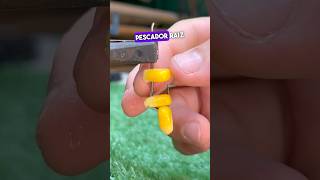 Técnica de índio para colocar milho 🌽 no anzol 😱 pesca anzol shorts tools dica [upl. by Bowerman]