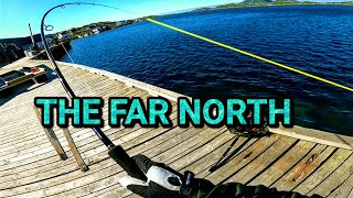 Shore fishing in the FAR NORTH of Arctic Norway [upl. by Natloz]