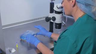 Using the CooperGenomics Embryo Biopsy Kit [upl. by Aitetel]