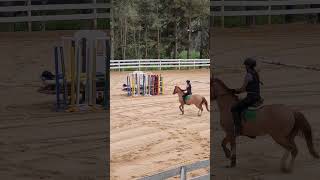 É tão satisfatório ver ele passando nos cavaletes certinho🤩 horse haraslaguna hipismo [upl. by Eldon408]