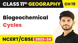 Class 11 Geography Chapter 15  Biogeochemical Cycles  Life On The Earth [upl. by Casanova738]