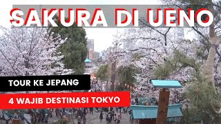 TOUR TOKYO SEHARIAN BISA KEMANA AJA TOURTOKYO TOURJEPANG VLOGGER [upl. by Merchant]