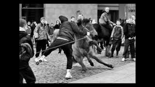 Smithfield Horsefair Dublin Ireland  gerry smith photography [upl. by Nivi102]