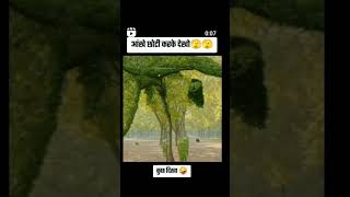 आखे छोटे करके देखिये क्या देखा तुझे shindeon funny sheth musicgenre musicgenre comedy musi [upl. by Airamanna611]