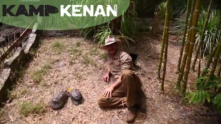 Ultimate Marginated Tortoise Care Tutorial kamp kenan [upl. by Siravat]