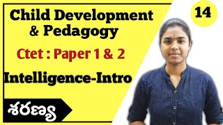 Intelligence Introduction Unifactor theory explained in telugu  Ctet 2021  Ctet Telugu  CDP [upl. by Oileve525]