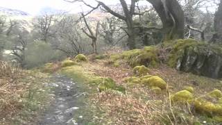 Walking along the Old Kenmare Road in Killarney National Park [upl. by Kurland]