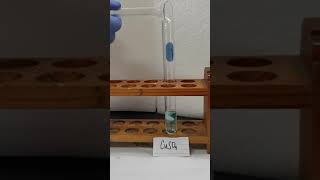 Cupric Sulfate and Barium Chloride [upl. by Studdard794]