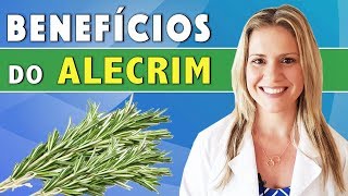 Benefícios do Alecrim  Para Que Serve Emagrece Como Usar DICAS [upl. by Aletta536]