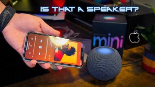 HomePod Mini Review Is It Worth It IN 2024 [upl. by Forland330]