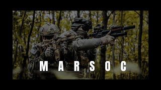 USMC MARSOC Marine Raiders Military Tribute 2023 [upl. by Yelraf]