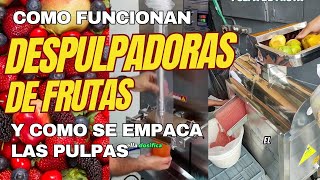 DESPULPADORA DE FRUTAS Y COMO EMPRENDER CON PULPAS DE FRUTAS [upl. by Caravette]