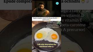 prabhas rgv omlette telugufood telugucinema telugumemes telugucomedyclips andhrafood [upl. by Rybma]