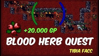 Jak Szybko Zarobić 20k GP  Blood Herb Quest  Tibia FACC [upl. by Clift]