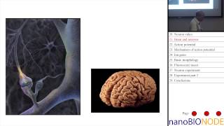 Mechanobiology in Neuronal Development Taher Saif [upl. by Krueger970]