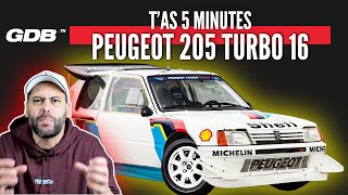 TAS 5 MINUTES  LA PEUGEOT 205 TURBO 16 et le groupe B [upl. by Ainnos]