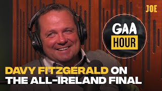 Hurling legend Davy Fitzgerald reviews Limericks historic AllIreland hurling final win [upl. by Conard916]