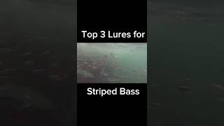 Top 3 Lures for Striped Bass  fishing stripedbassfishing shorts [upl. by Neffets]