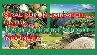 PETANI PADI DI SEKITAR DESA SITUSARI MENDENGAR TENTANG PENGUNAAN PUPUK ORGANIK KANCA TANI petani [upl. by Livingstone]