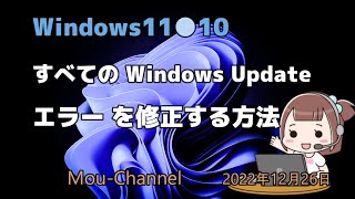 Windows11●10●すべての Windows Updateエラー を修正する方法 [upl. by Eri778]