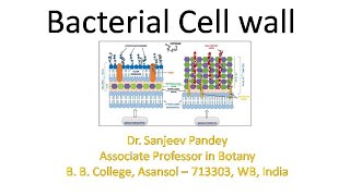 Bacterial Cell wall structure and chemistry [upl. by Halona26]