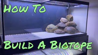 How to Build a Biotope Aquarium [upl. by Llertnov]