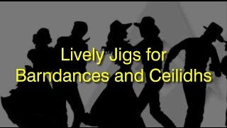 Lively BarndanceCeilidh Set  Lively Jenny  River Jig  Shandon Bells [upl. by Leanard]