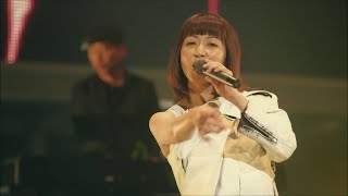 Every Little Thing  ハイファイメッセージ from ON AND ON concert tour [upl. by Sindee]