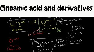 cinnamic acid biosynthesis  biosynthesis part 9 [upl. by Beutner261]