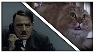 Hitler phones the NONONO Cat [upl. by Bridgette]