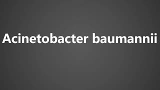 How To Pronounce Acinetobacter baumannii [upl. by Natsud]